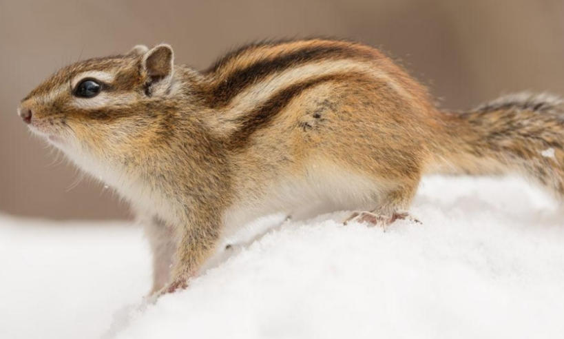 陕西西安广告公司轮播图2